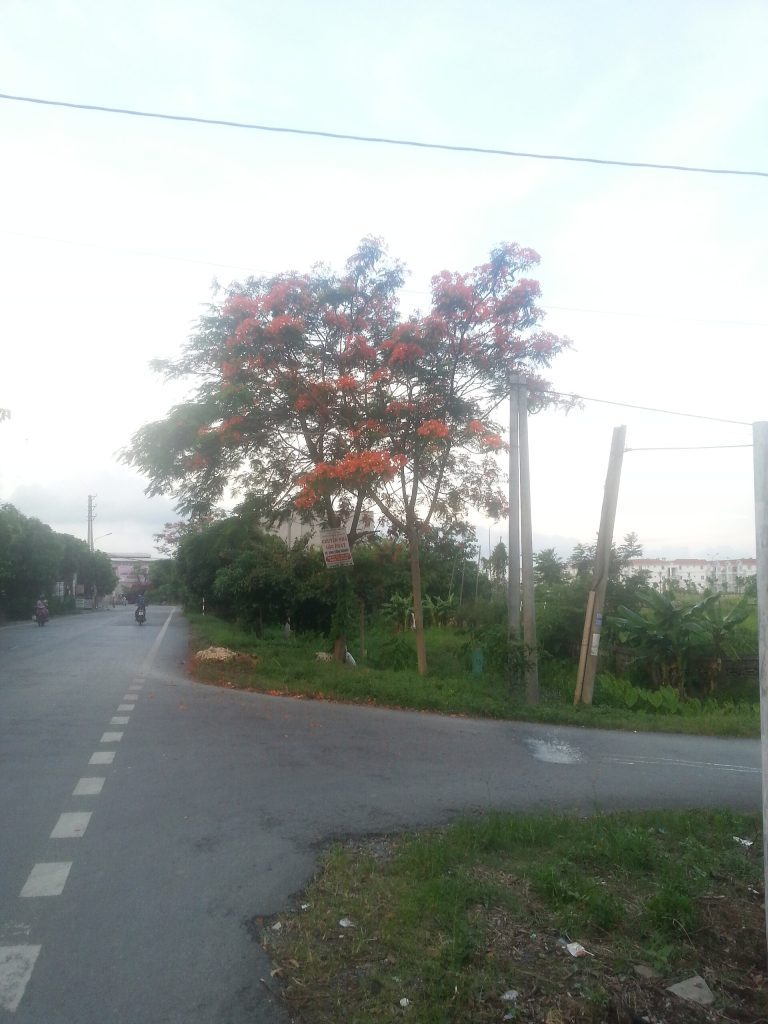 Không gian Hải Phòng trong câu chuyện về Quần đảo Cát Bà, góc nhìn 3