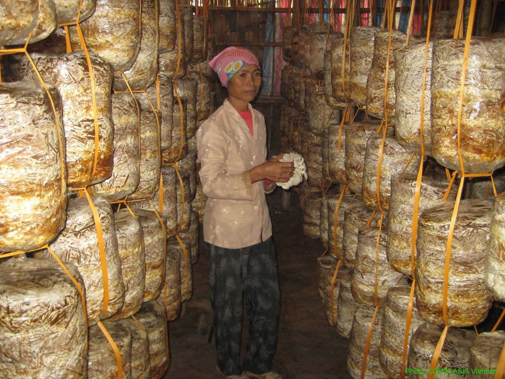 Không gian Ninh Bình trong câu chuyện về Vườn quốc gia Xuân Thủy, góc nhìn 3