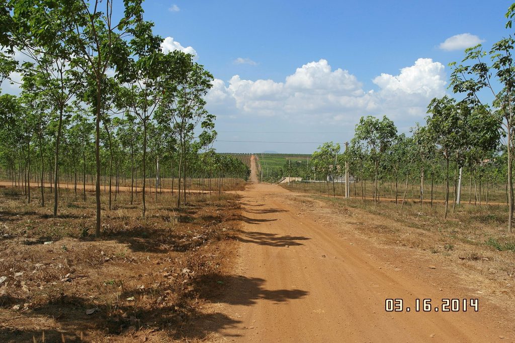 Không gian Đồng Nai trong câu chuyện về Sóc Bom Bo và nhịp chày trong ký ức cộng đồng, góc nhìn 3