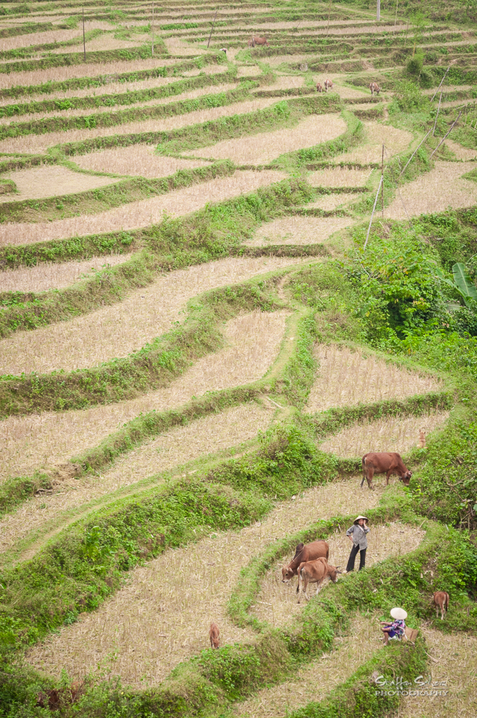Không gian Thanh Hóa trong câu chuyện về Pù Luông, góc nhìn 3