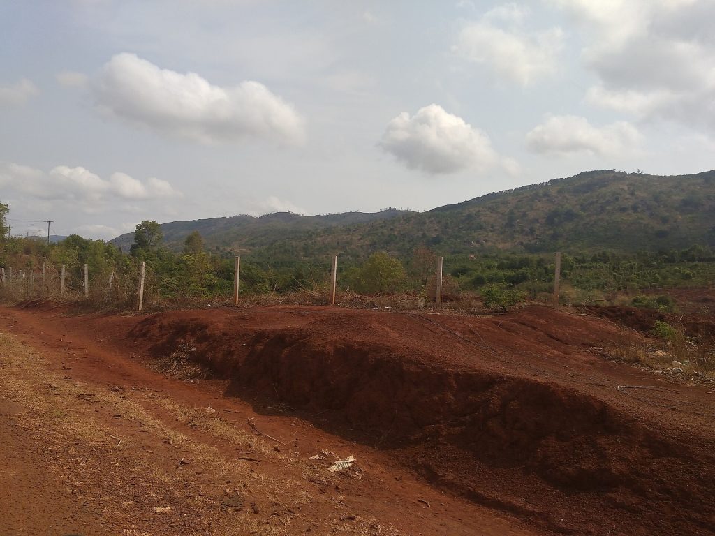 Không gian Gia Lai trong câu chuyện về Tré Bình Định, góc nhìn 2