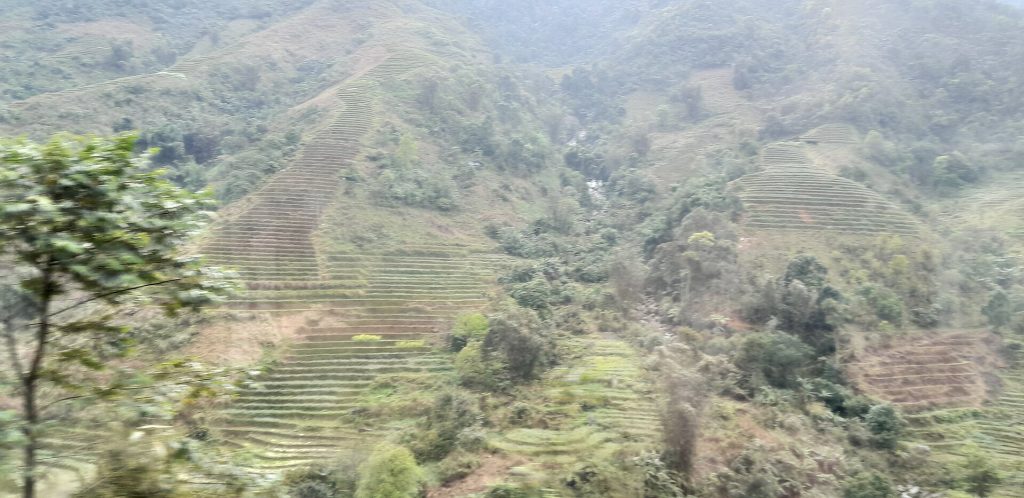 Không gian Lào Cai trong câu chuyện về Mận Tam Hoa Bắc Hà, góc nhìn 2