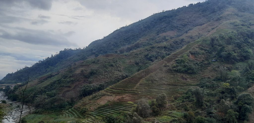Không gian Lào Cai trong câu chuyện về Mận Tam Hoa Bắc Hà, góc nhìn 1
